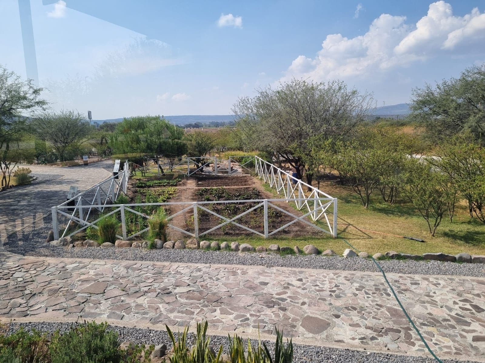 Lote Martorell — photo 5 of 10