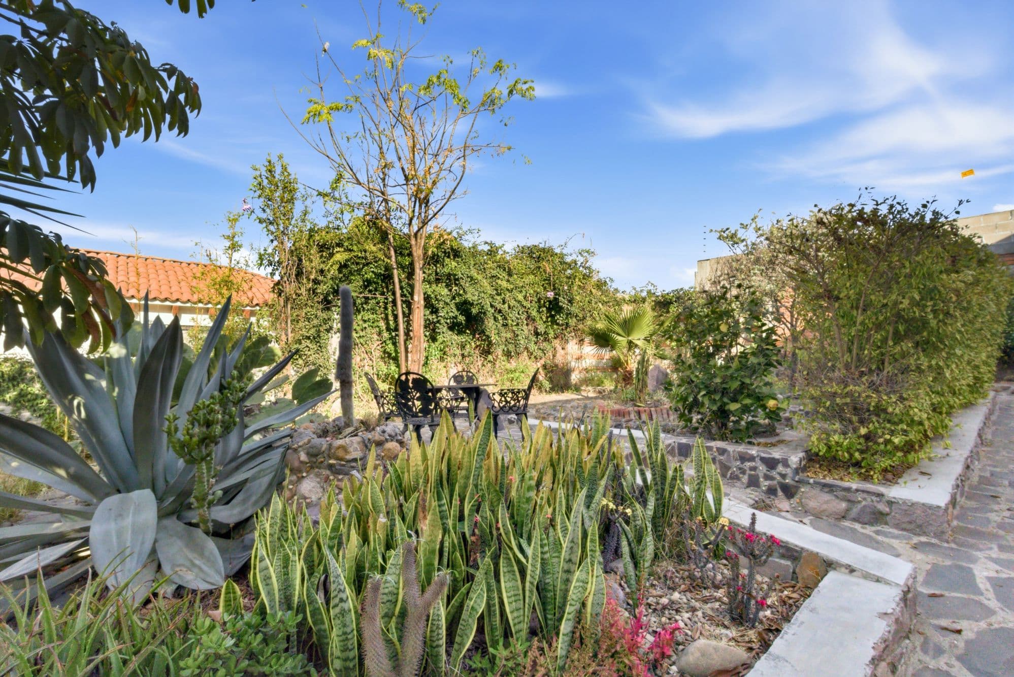 Casa Jardin Guadalupe — photo 8 of 10