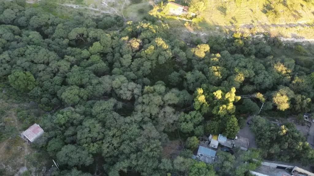 Terreno Dos Hectáreas La Cieneguita — photo 6 of 10
