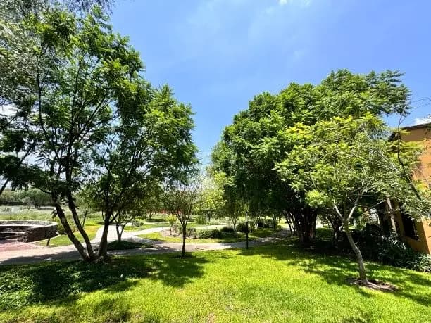 Lote 8 Manzana 8 — photo 8 of 10