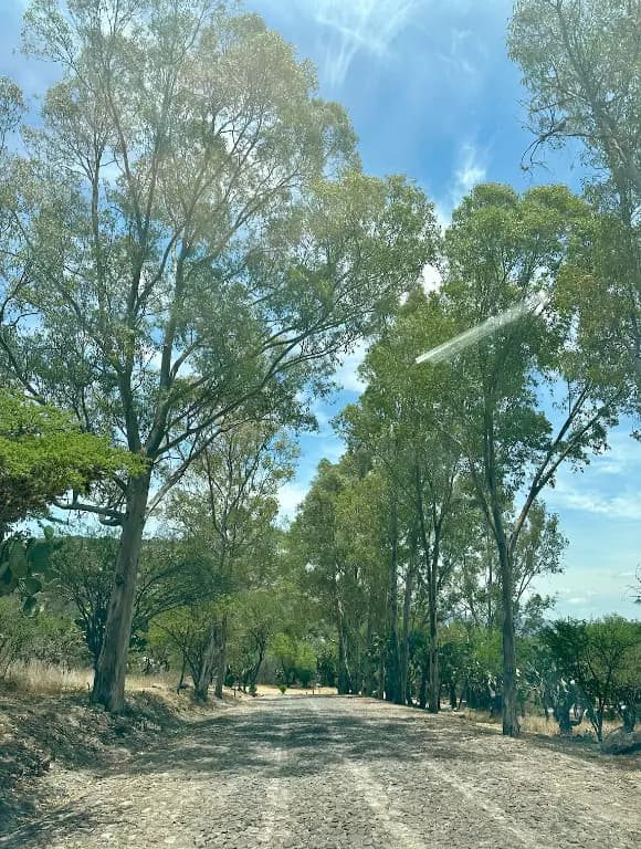 Santa Matilde Mountain View — photo 2 of 10