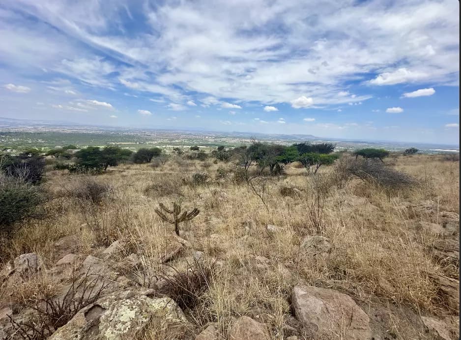Santa Matilde Mountain View — photo 4 of 10