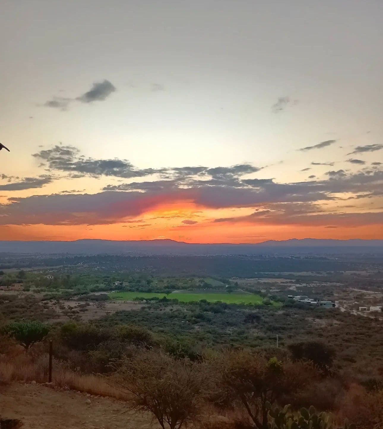 Santa Matilde Mountain View — photo 9 of 10