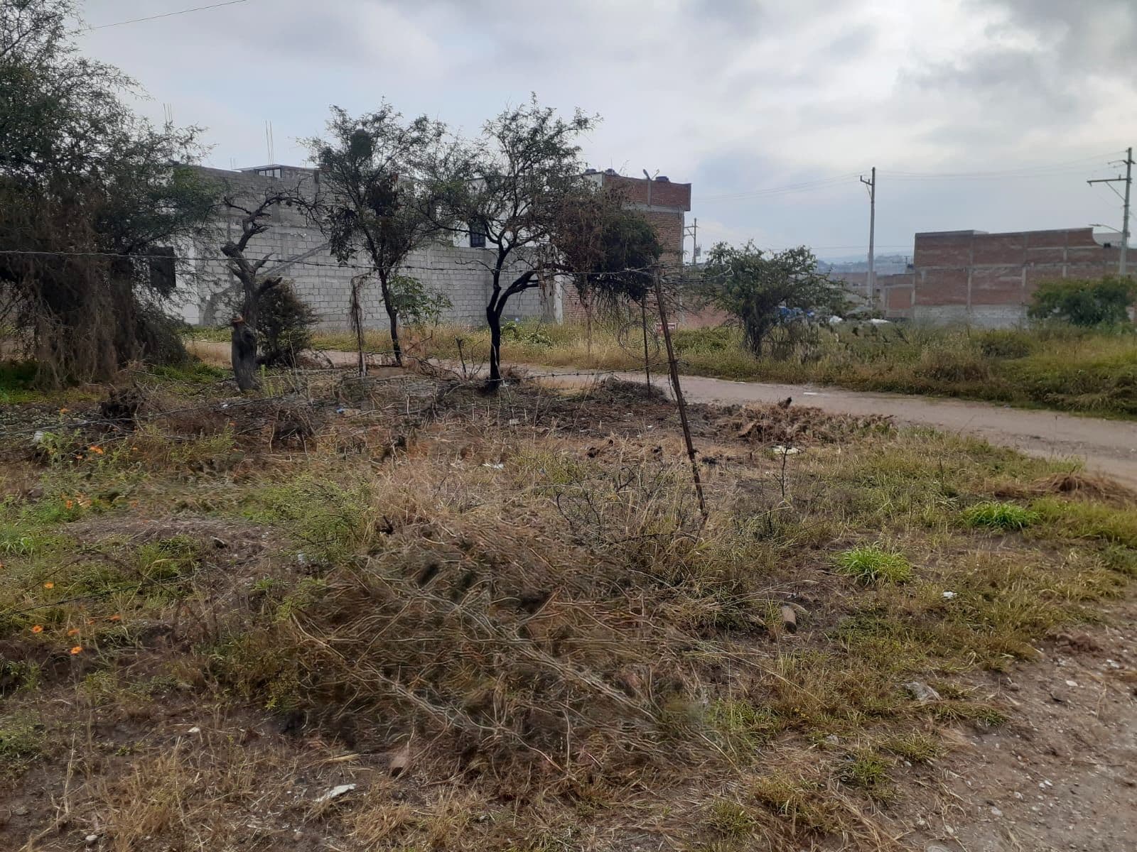 Lote Laureles — photo 3 of 5
