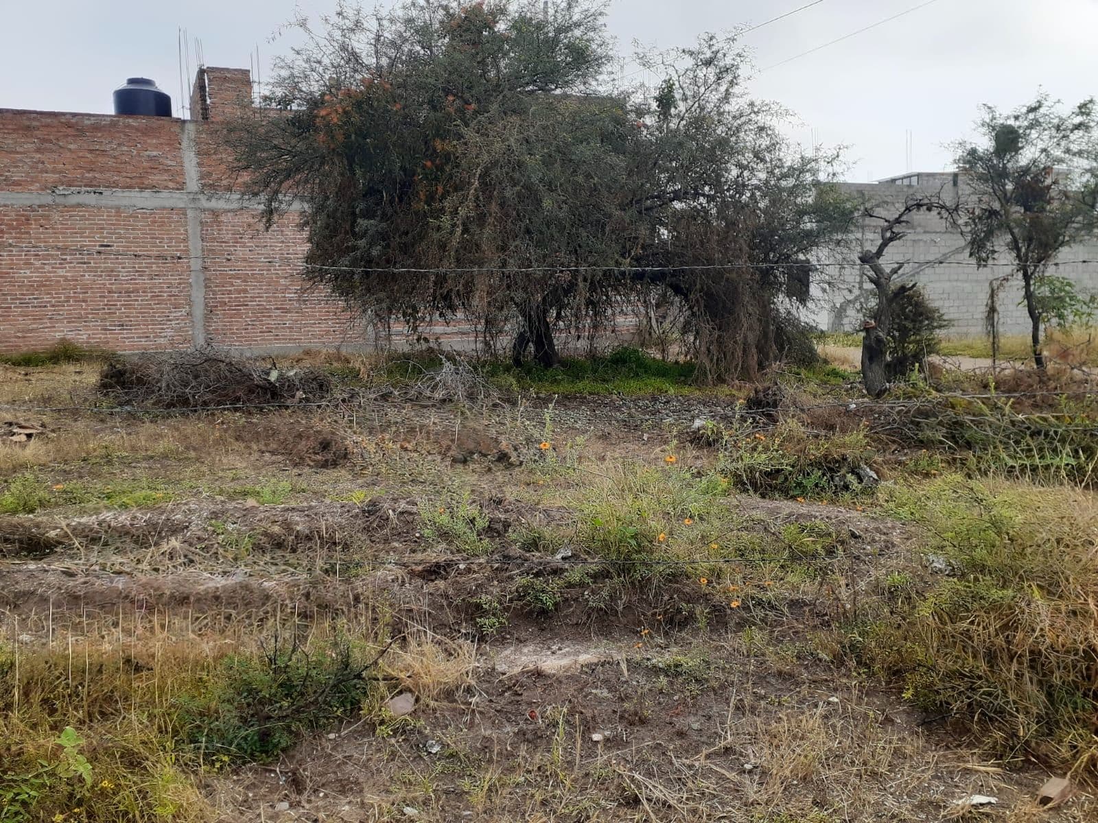 Lote Laureles — photo 4 of 5