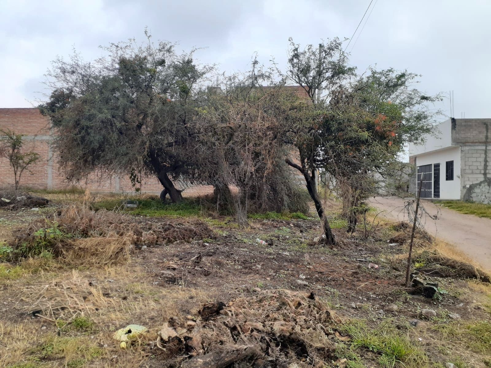 Lote Laureles — photo 2 of 5