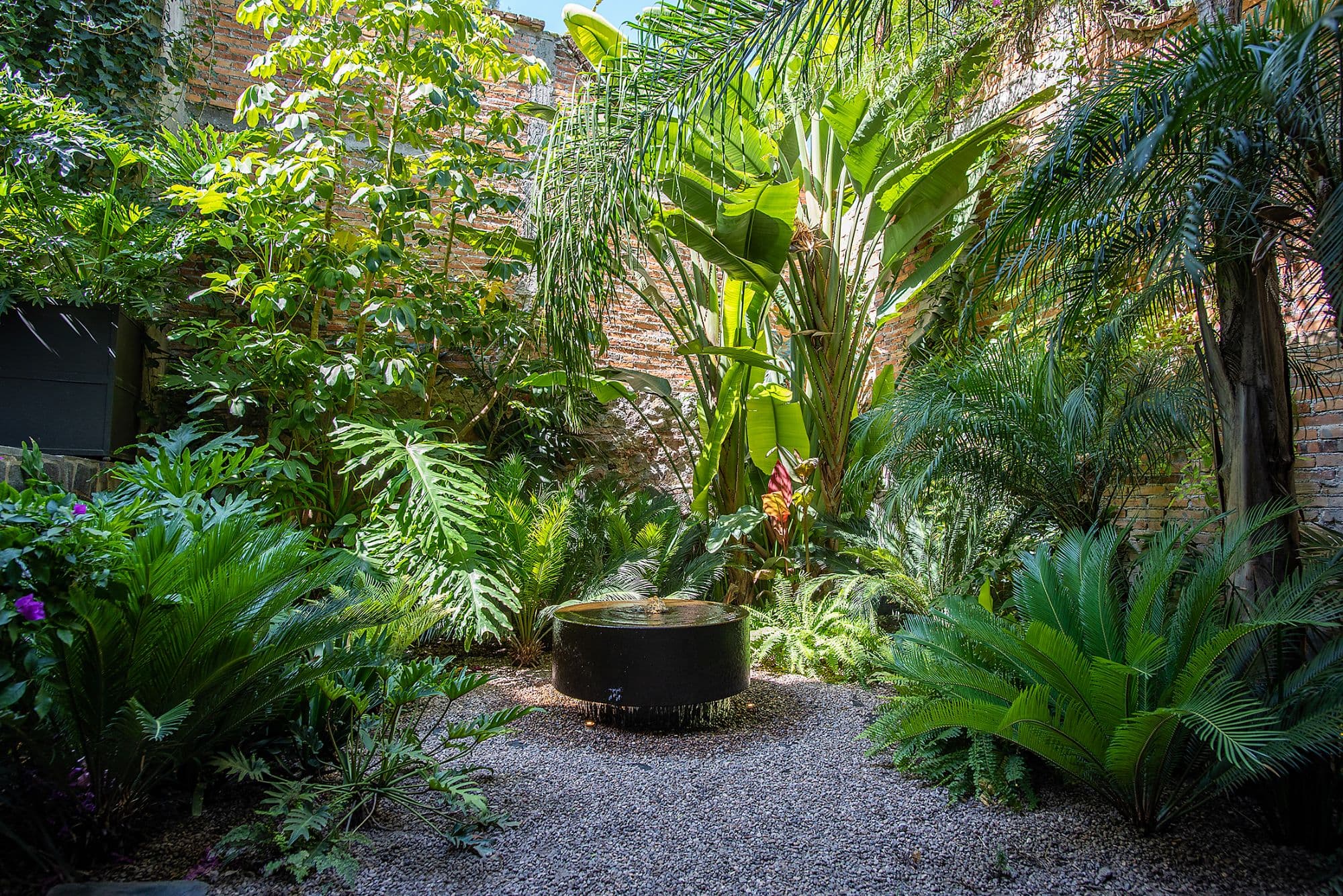 CASA CLARA — photo 4 of 10