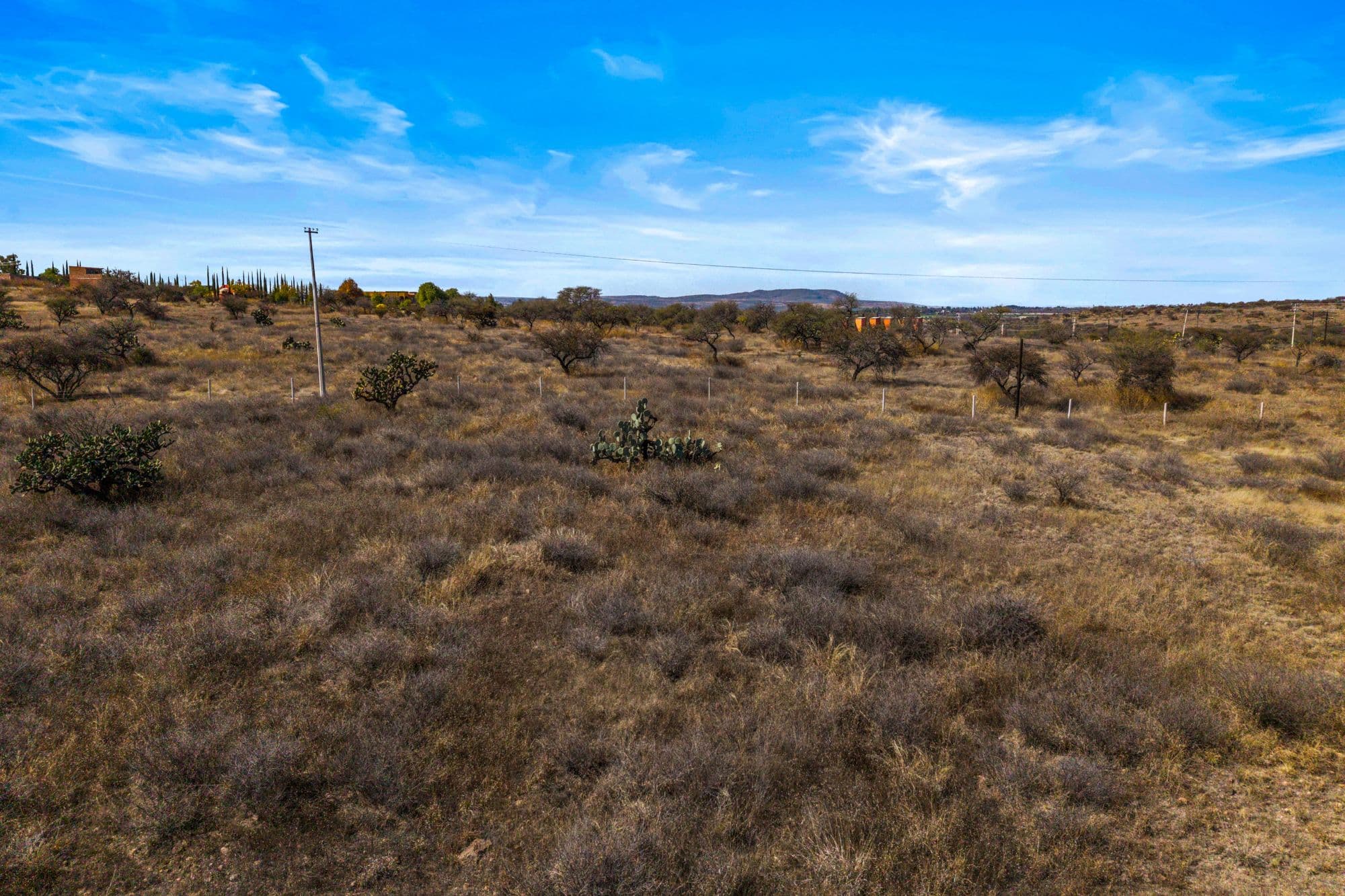 El Cortijo Lot — photo 10 of 10