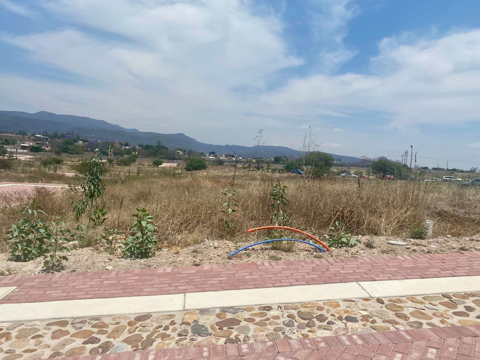 Maderas — photo 4 of 6