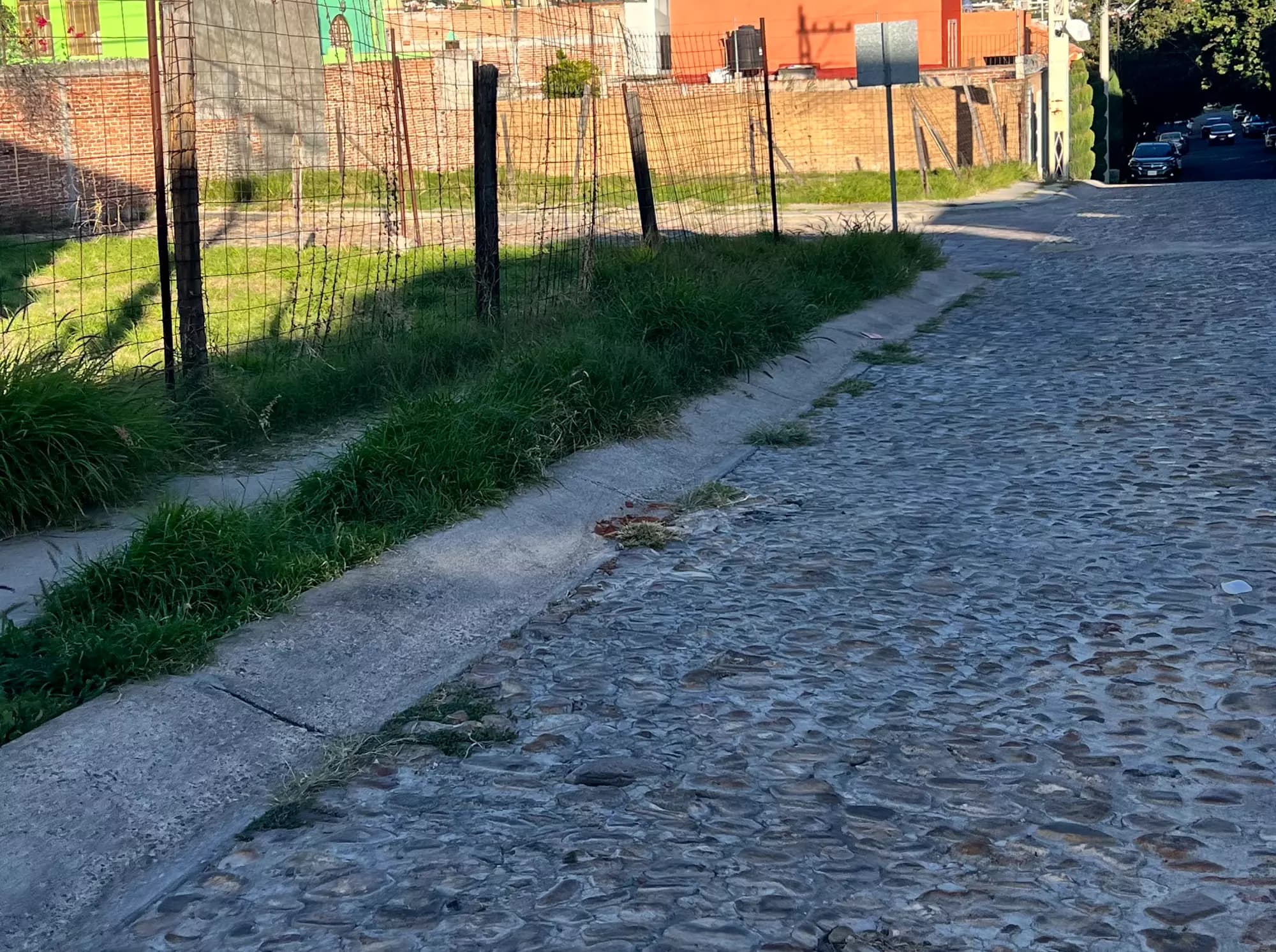 Lote Molino — photo 3 of 5