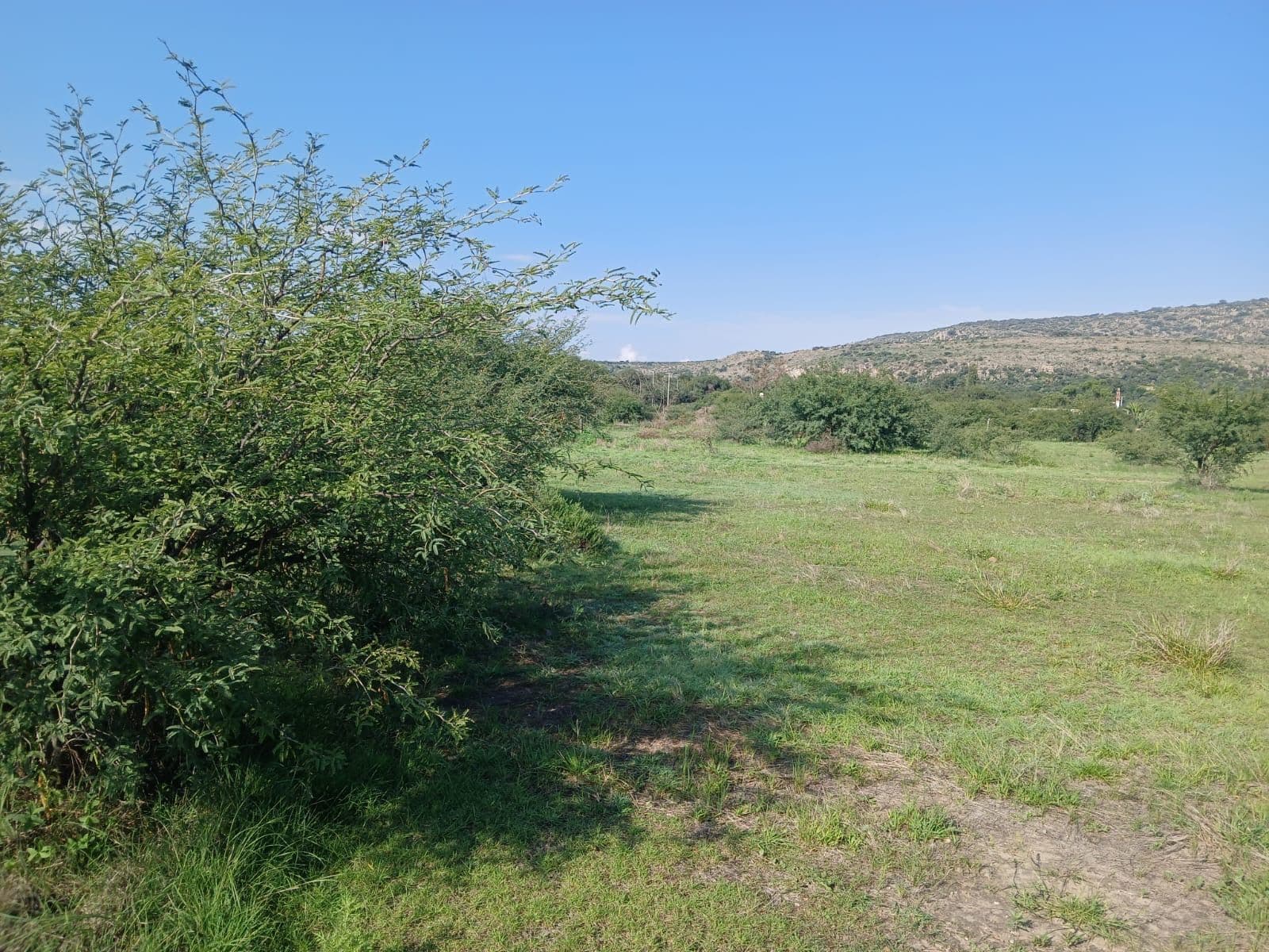 Lote Sol — photo 1 of 8