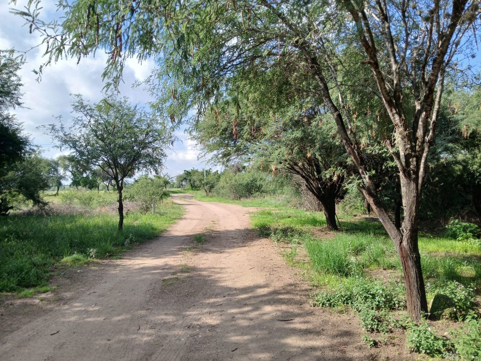 Lote Sol — photo 3 of 8