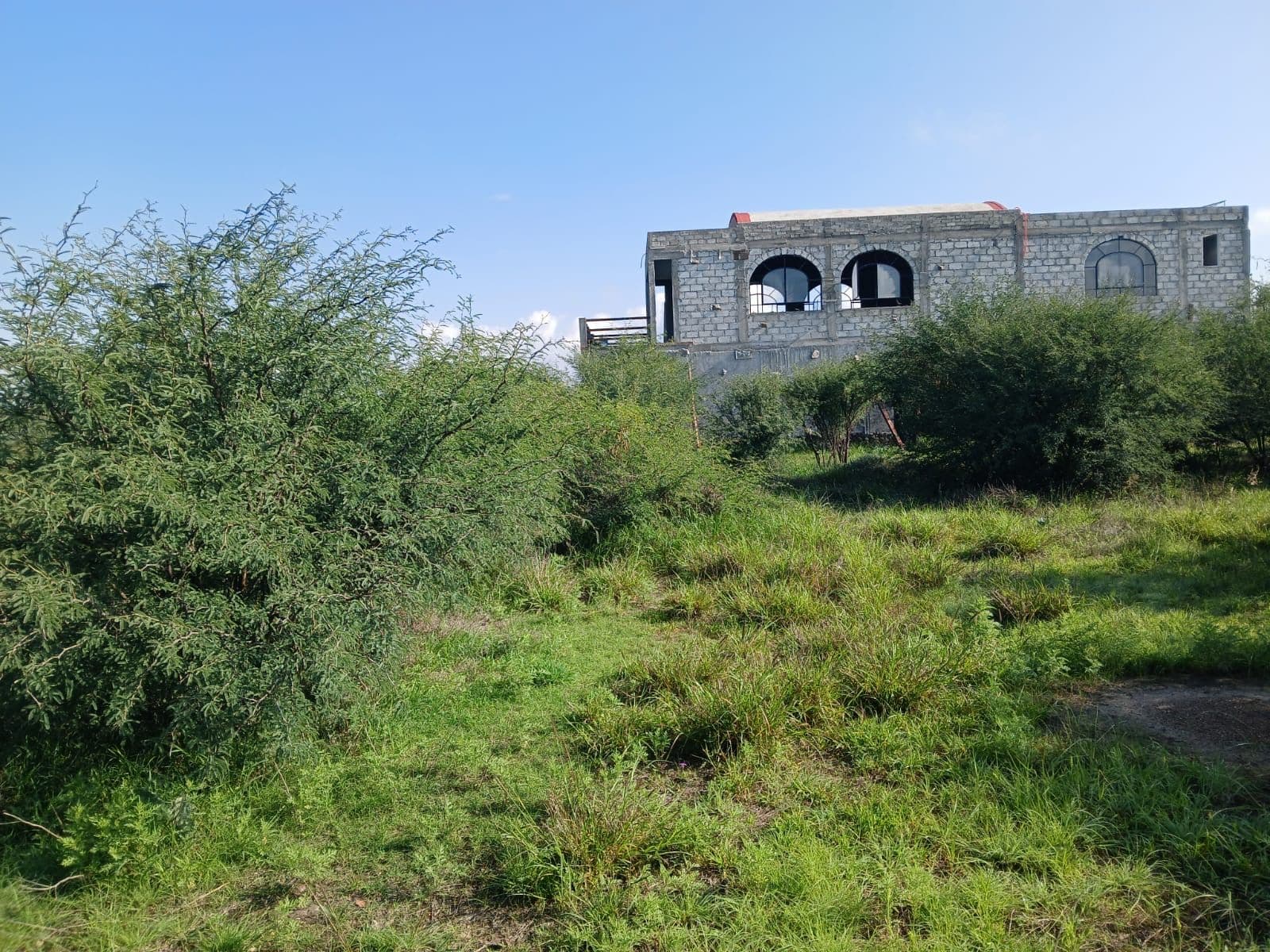 Lote Sol — photo 6 of 8