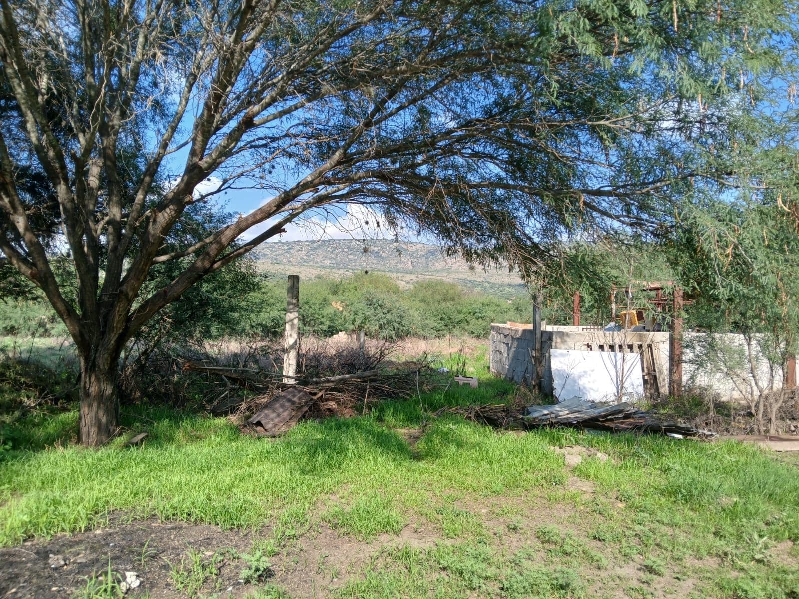 Lote Sol — photo 2 of 8