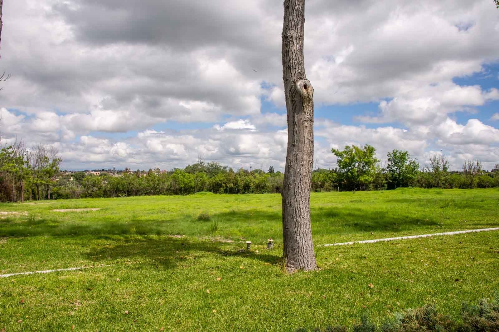 La Loma Lot 4 — photo 9 of 10