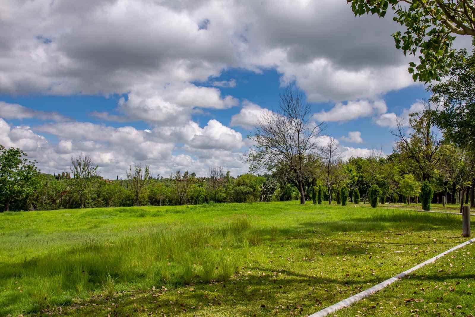 La Loma Lot 4 — photo 10 of 10