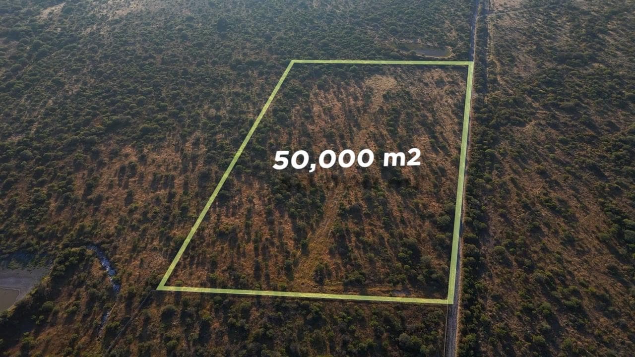 Proyecto con 19 lotes autorizados — photo 2 of 6