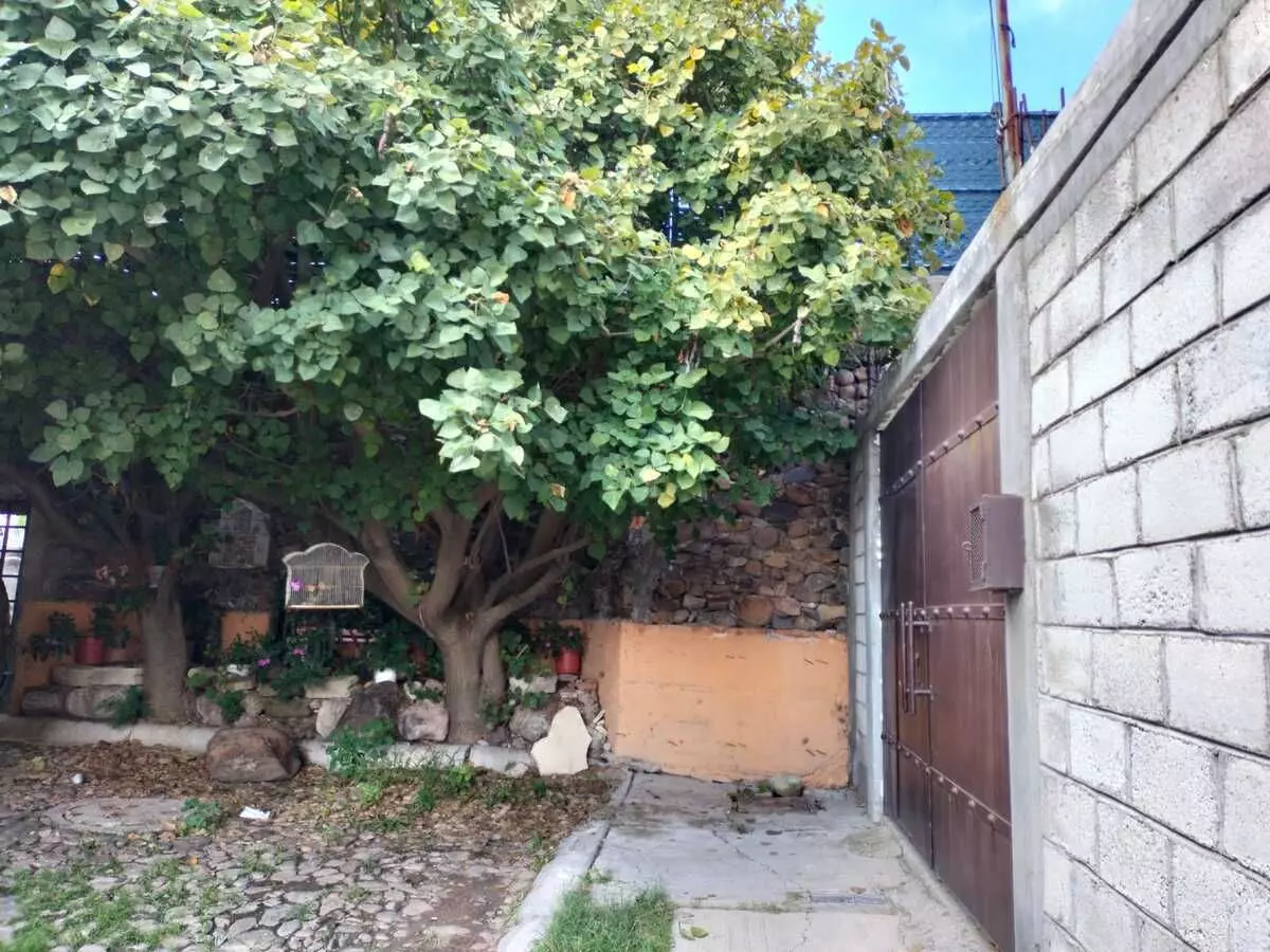 Casa Aaron — photo 8 of 10