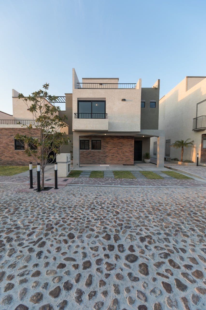 Oleo Picasso 8 — photo 1 of 10
