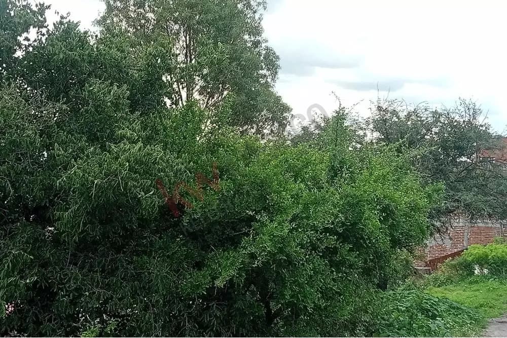 Lote Espiga — photo 10 of 10