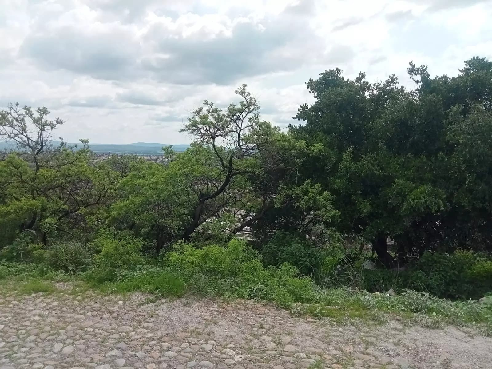 Lote Espiga — photo 3 of 10