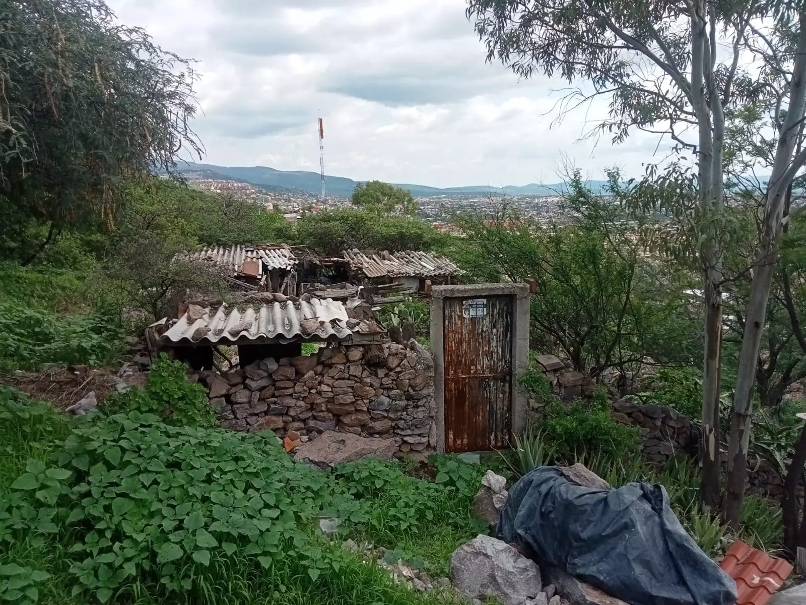 Lote Espiga — photo 5 of 10