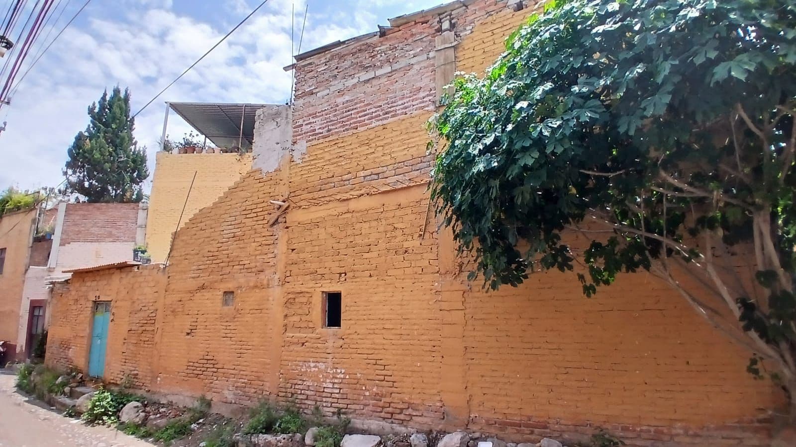 Fixer Upper Toro y Palmas — photo 7 of 10