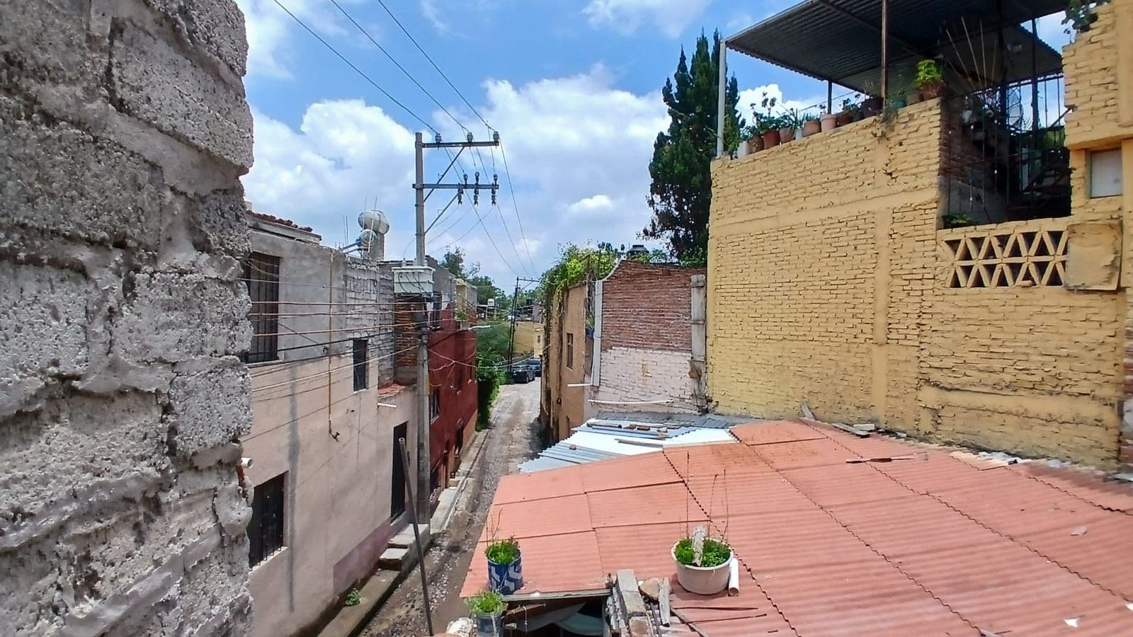 Fixer Upper Toro y Palmas — photo 5 of 10