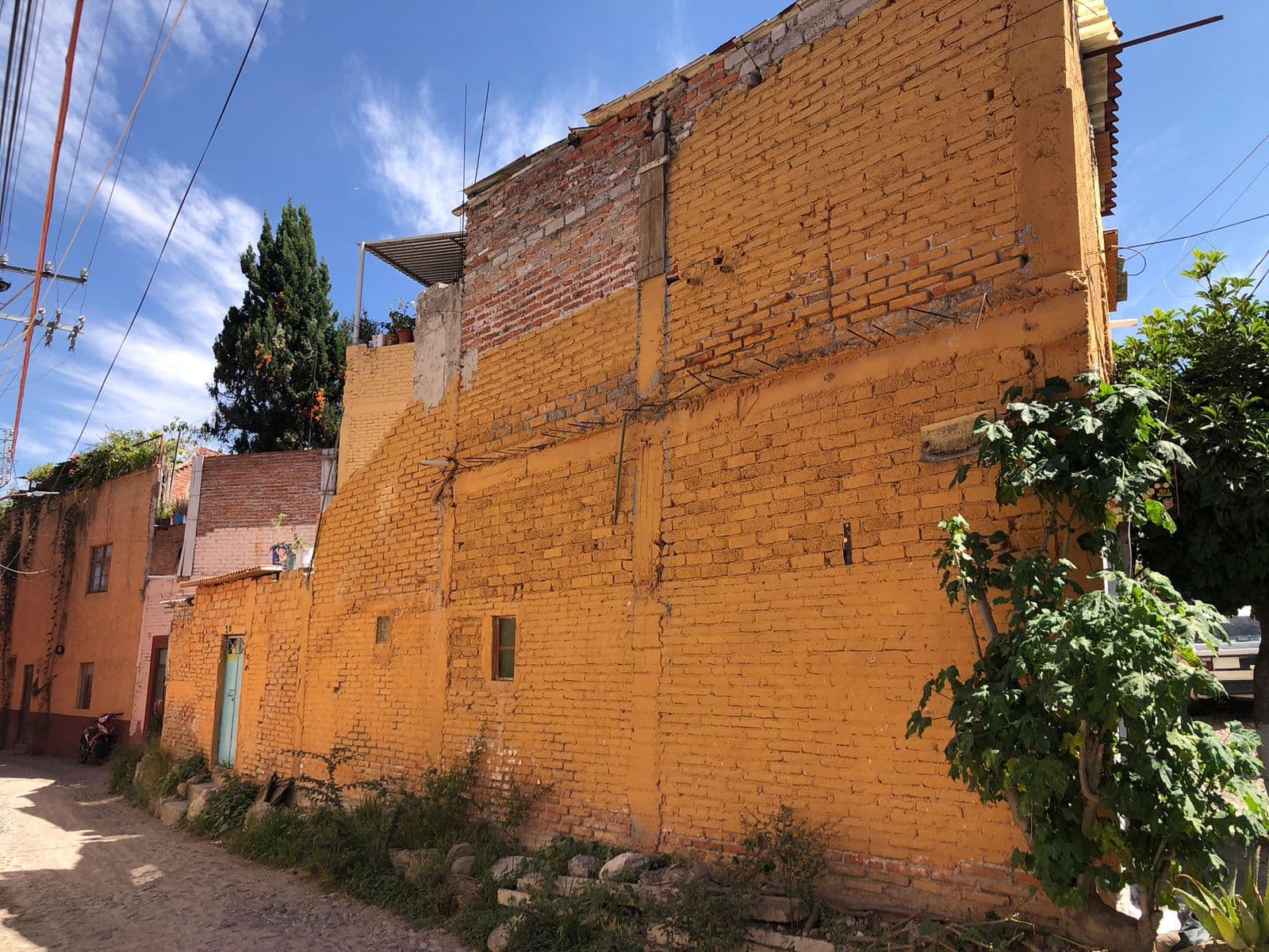 Fixer Upper Toro y Palmas — photo 7 of 10