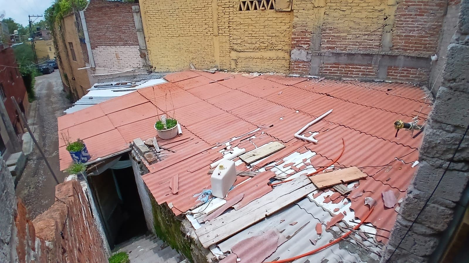 Fixer Upper Toro y Palmas — photo 4 of 10