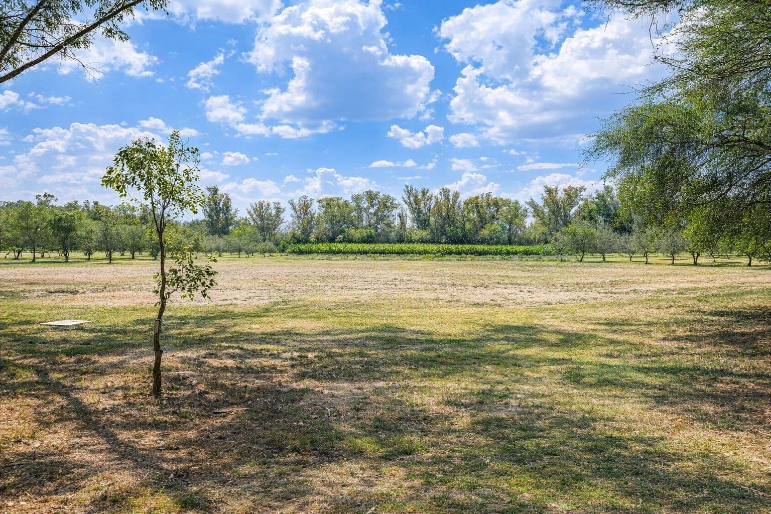 Lote Viñedo San Lucas — photo 2 of 7