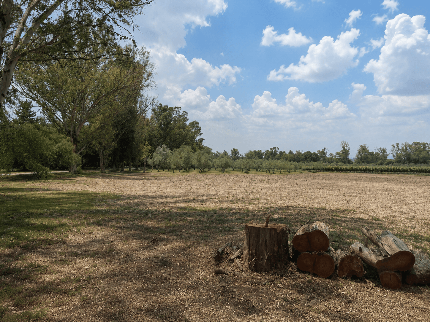 Lote Viñedo San Lucas — photo 5 of 7