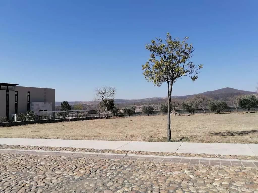 Lote Viñedo San Miguel — photo 9 of 10