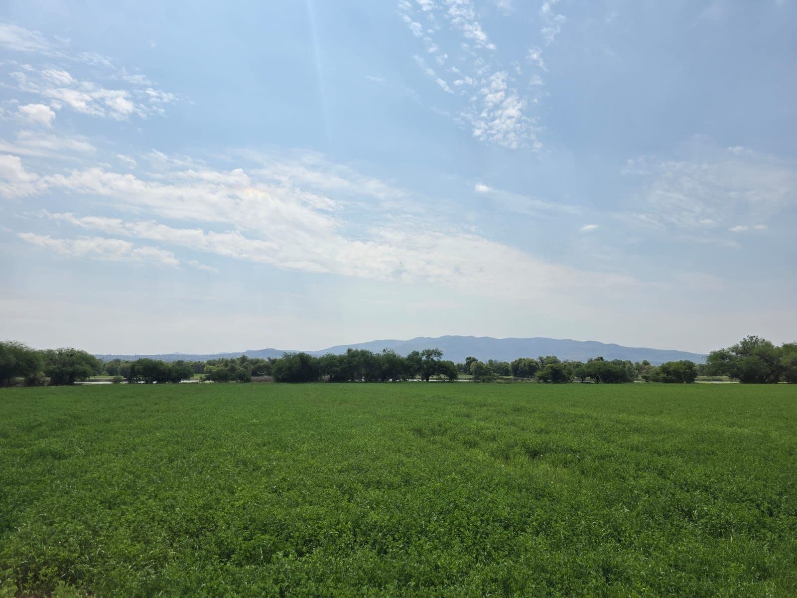Ranchito Miguel Lot 1 — photo 1 of 5