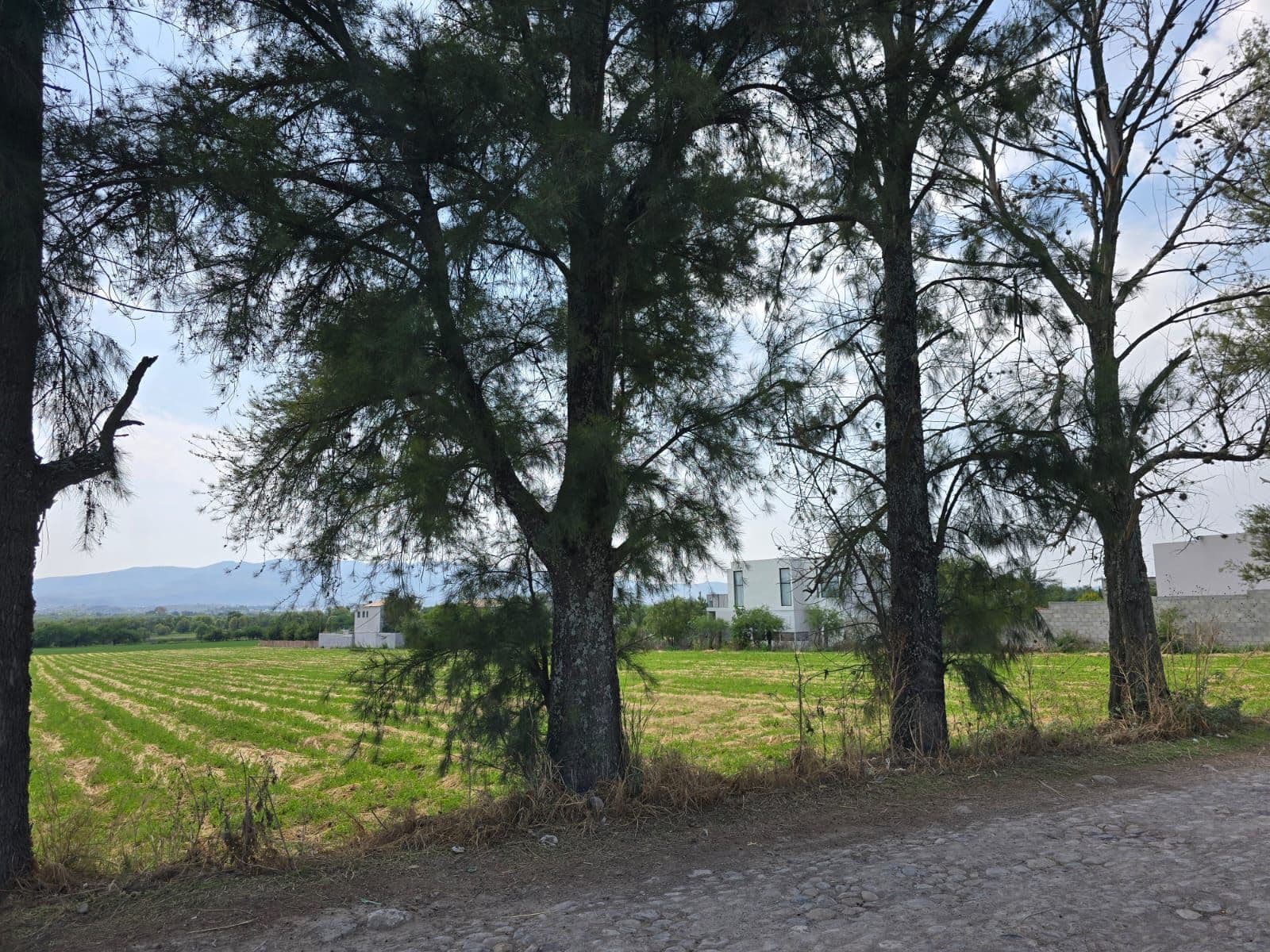 Ranchito Miguel Lot 1 — photo 2 of 5