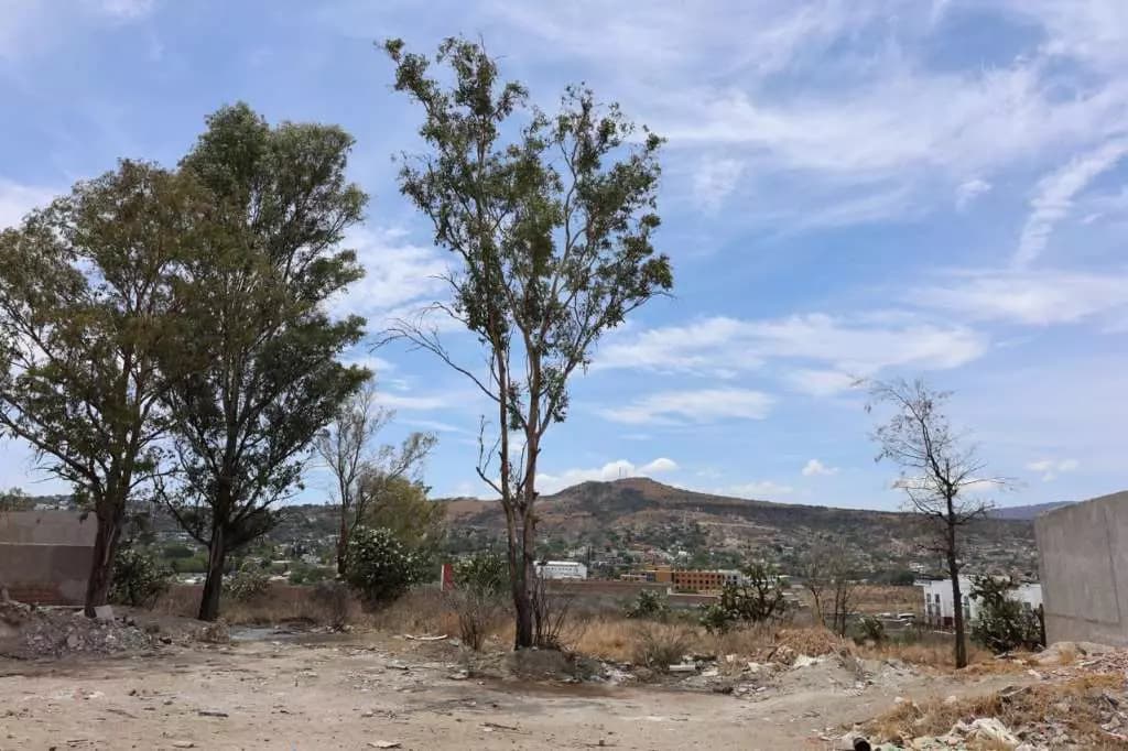 Lote "D" En Allende Residencial — photo 5 of 5