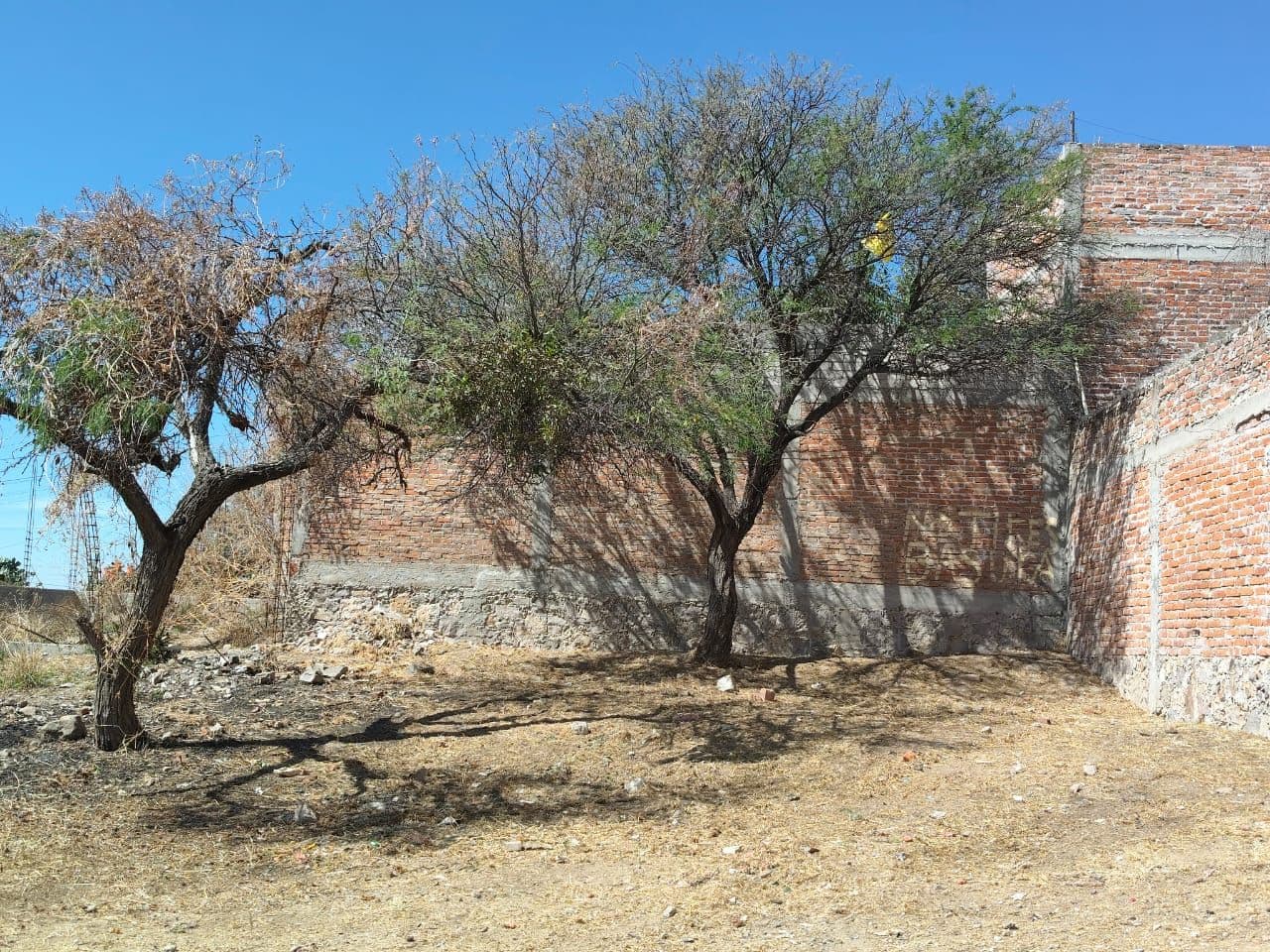 Lote 9 Poblado de Tirado — photo 3 of 3