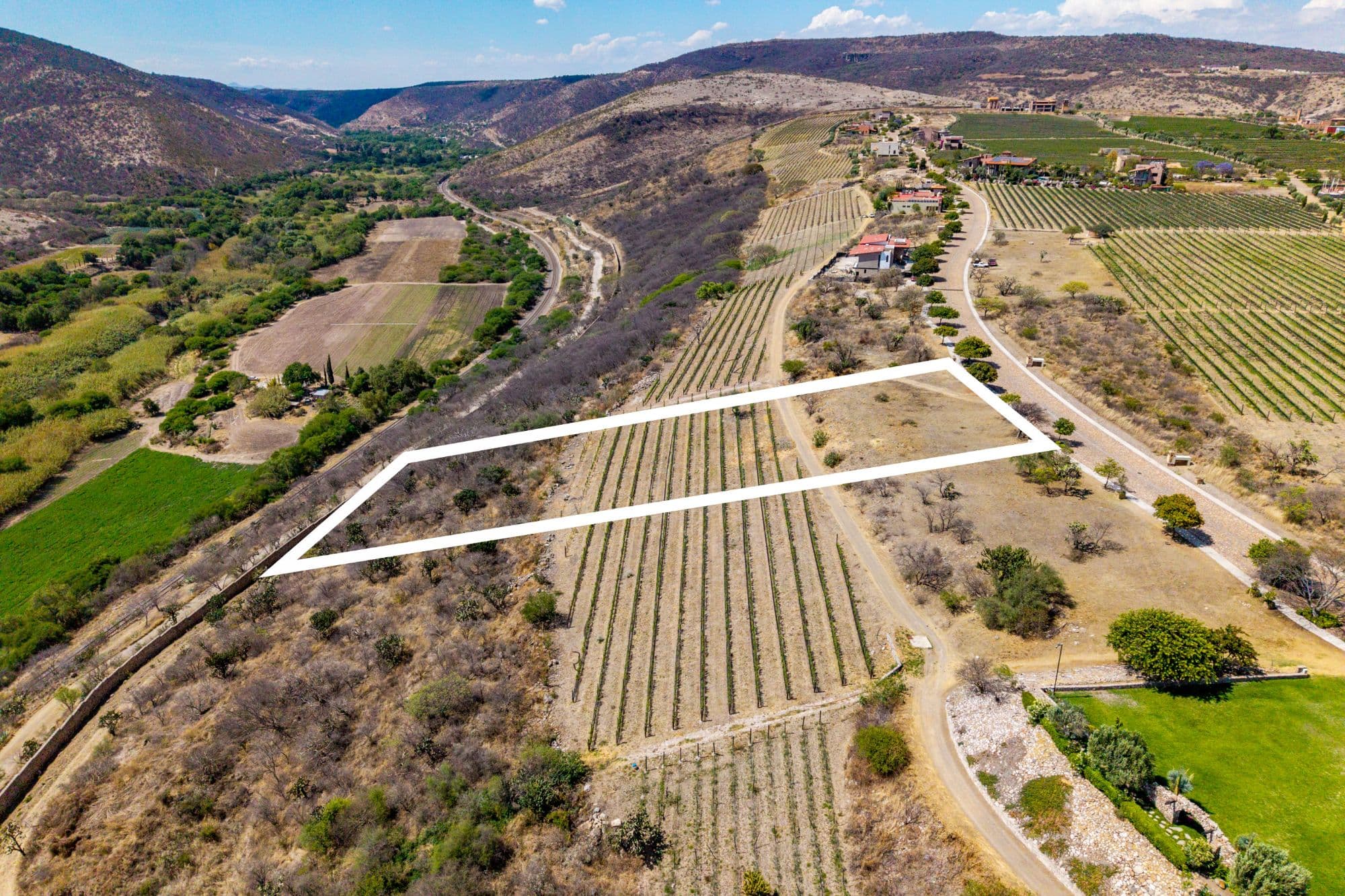 LOTE MERLOT — photo 5 of 10