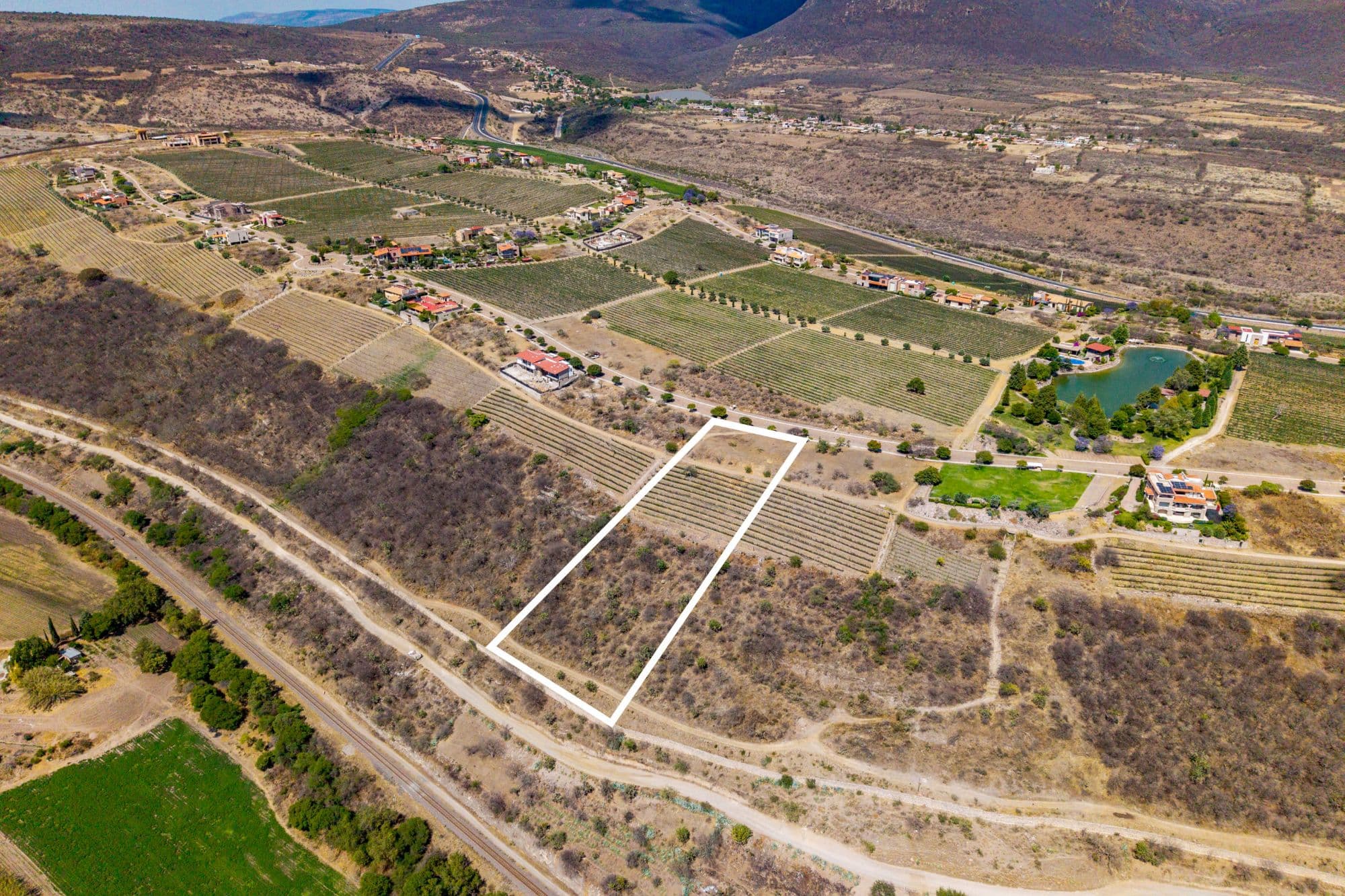 LOTE MERLOT — photo 7 of 10