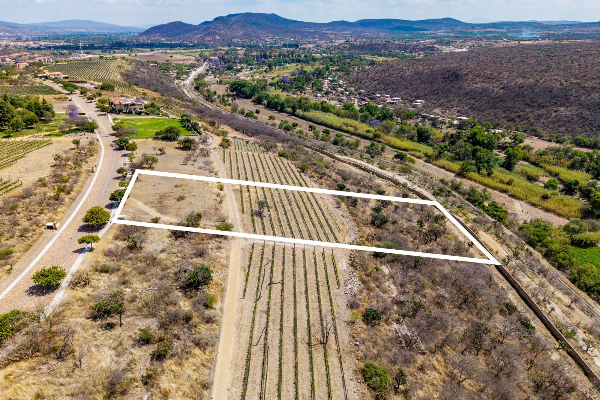 LOTE MERLOT — photo 3 of 10