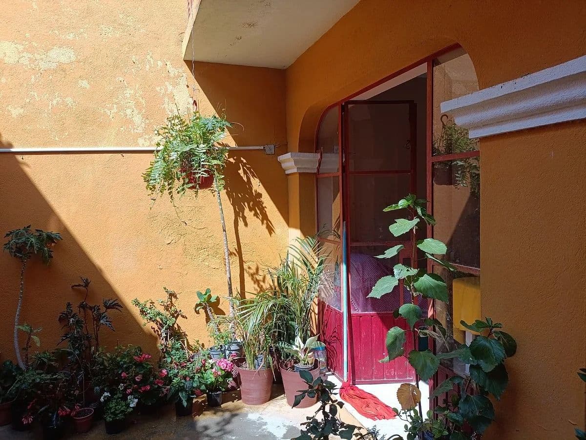 Casa Juan Aldama-Fixer Upper — photo 9 of 10