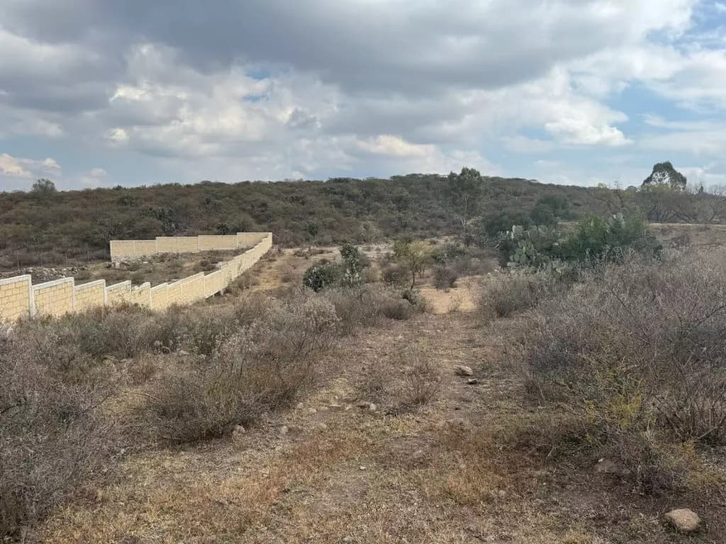 1.5 Hectáreas Biznaga/jalpa — photo 6 of 7