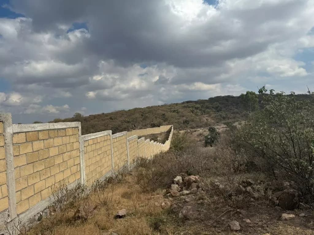 1.5 Hectáreas Biznaga/jalpa — photo 7 of 7