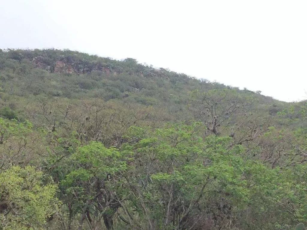 Rancho Alegre Estancia De Canal