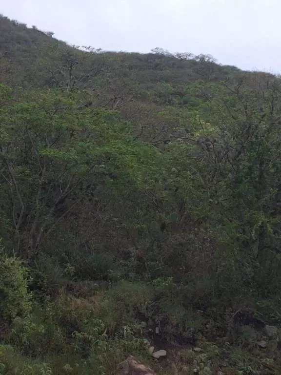 Rancho Alegre Estancia De Canal — photo 7 of 8