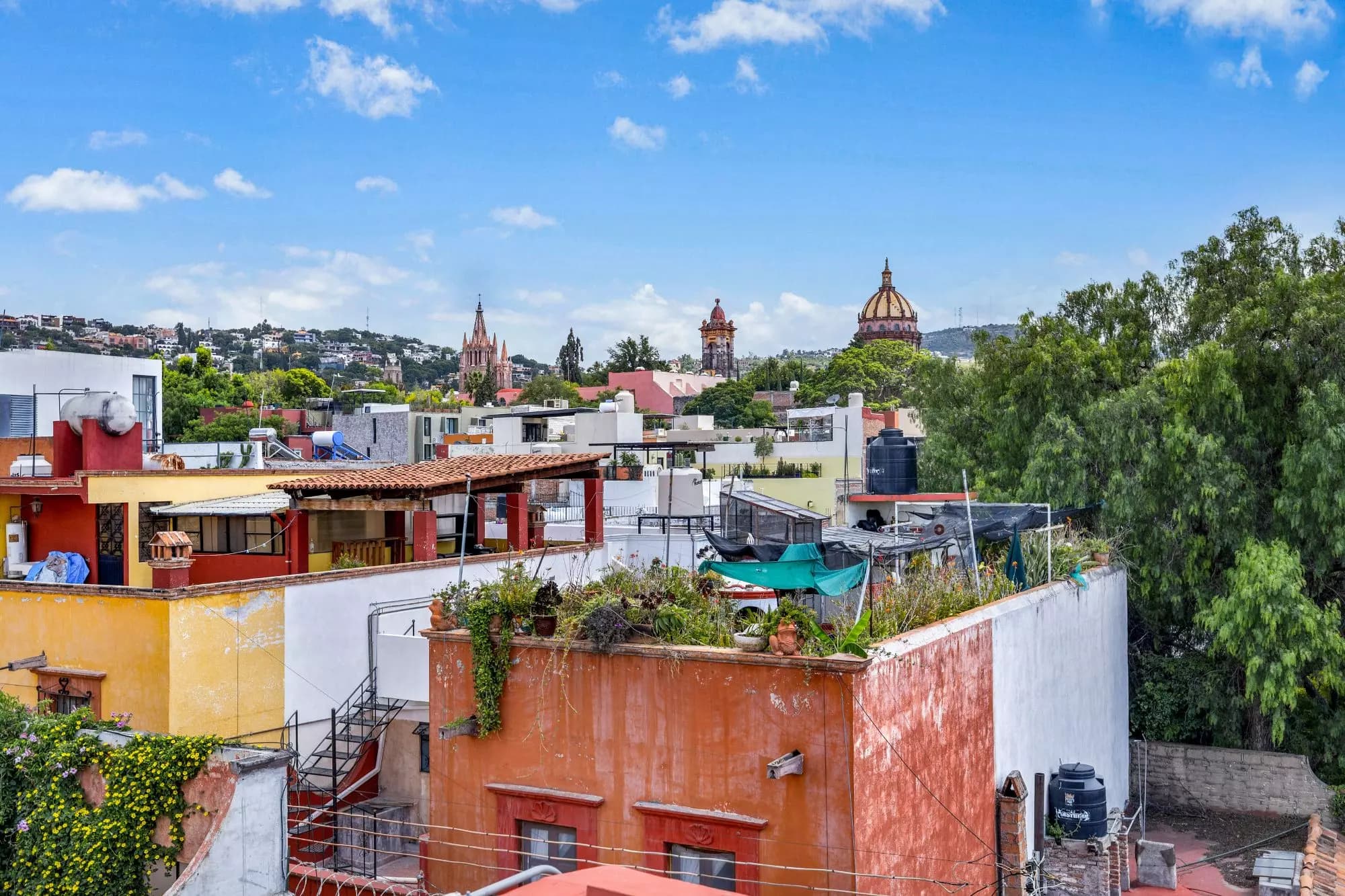 Casa Ave — photo 8 of 10
