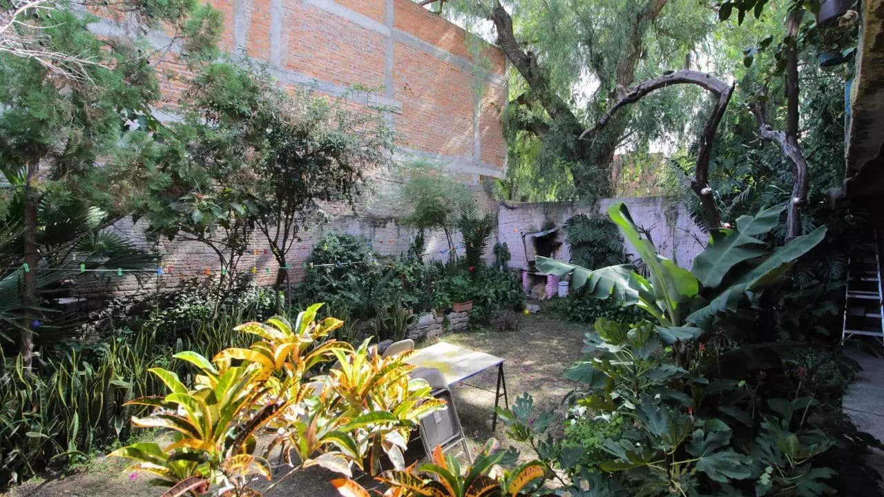 Fixer upper Insurgentes — photo 4 of 10
