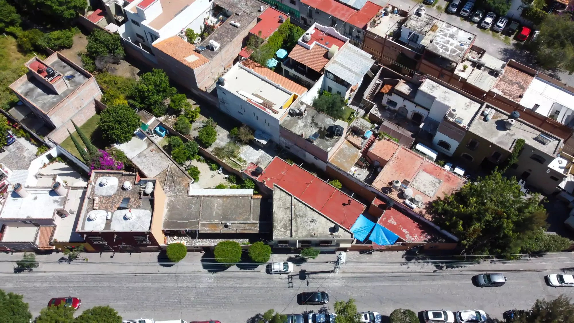 Terreno en Centro SMA — photo 2 of 10