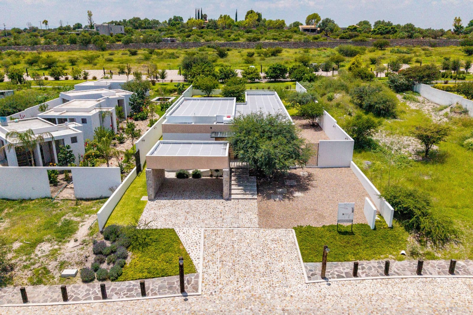 MÍTICO Lot 12 — photo 8 of 9