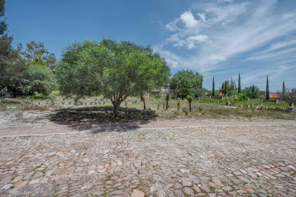 Discover Your Dream Lot in Savilas — photo 7 of 7